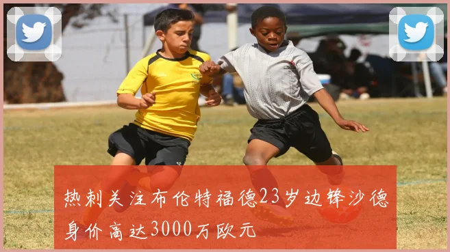 热刺关注布伦特福德23岁边锋沙德身价高达3000万欧元