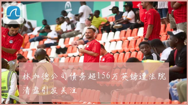 林加德公司债务超156万英镑遭法院清盘引发关注